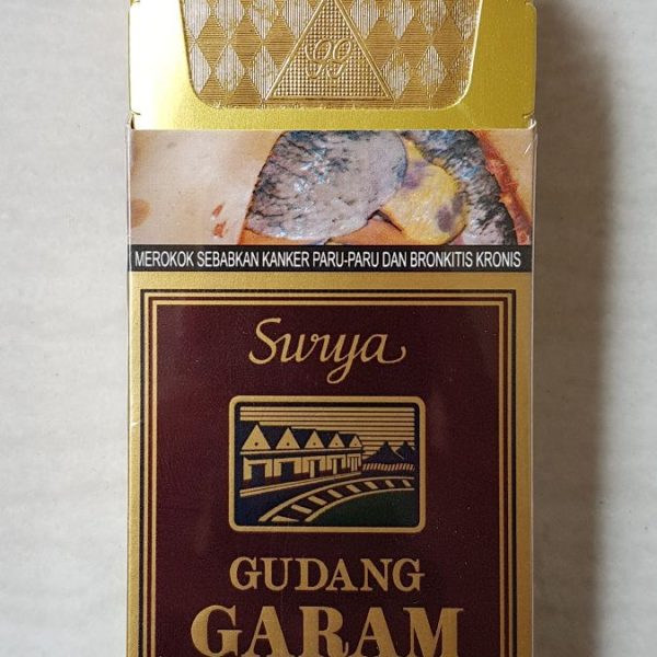 Gudang Garam Surya 12’s