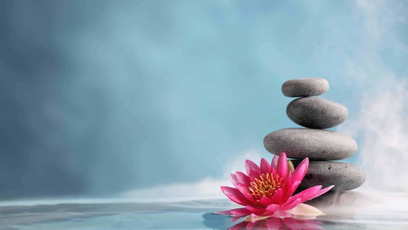 ¿Qué es la terapia de masaje chino? Los expertos en medicina tradicional china afirman que la energía corporal debe fluir constantemente para prevenir la ansiedad y las enfermedades. A lo largo de muchos siglos, estos terapeutas han desarrollado diversas terapias corporales relacionadas, como la acupuntura, la acupresión y el masaje chino. Los terapeutas chinos tradicionales equilibran el sistema de meridianos (puntos y canales de energía interna) para estimular el flujo de 'qi' (energía corporal) y sangre por todo el cuerpo. Se cree que el 'qi' no solo fluye con el cuerpo, sino que también anima el planeta entero. Los profesionales equilibran el 'qi' de sus pacientes desbloqueando los canales energéticos llamados jing luo, que causan molestias y enfermedades. Los expertos en masaje chino identifican los canales con circulación restringida y utilizan la presión manual para restablecer el equilibrio y el flujo de energía. Hoy en día, se practica la terapia de masaje chino en todo el mundo. Los clientes occidentales disfrutan de los beneficios mentales y físicos de esta técnica, incluyendo el alivio del estrés y la ansiedad, y la realineación musculoesquelética. Los expertos en masaje chino suelen centrarse en las ventajas curativas del masaje, en lugar del modelo occidental de alivio del estrés y relajación. Los terapeutas de masaje chino abordan y equilibran el bienestar integral de sus clientes, no solo síntomas específicos.